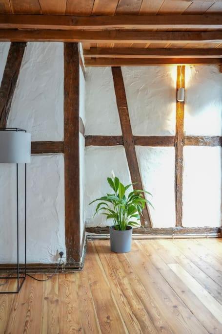 Charmante Fachwerk Wohnung Mit Terrasse In Der Altstadt Koblenc Exteriér fotografie